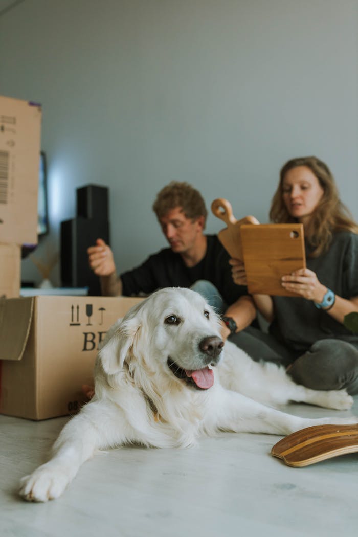 gallery-5 A couple sits on the floor packing boxes with their happy Golden Retriever nearby.
