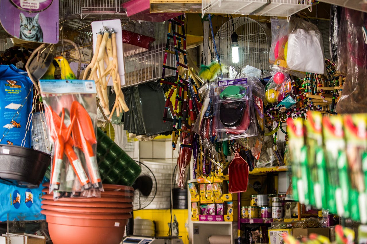 services-01 Vibrant pet shop scene featuring various animal supplies and merchandise arranged on shelves.