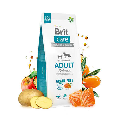 Brit Care Skin Coat Somonlu Tahılsız Yetişkin Köpek Maması 3 Kg
