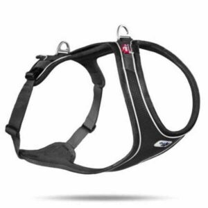 Curli Belka Comfort Köpek Göğüs Tasması Siyah Medium