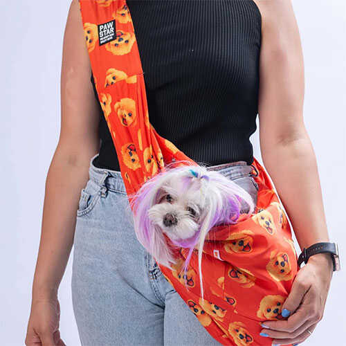 Köpek Taşıma Çantaları