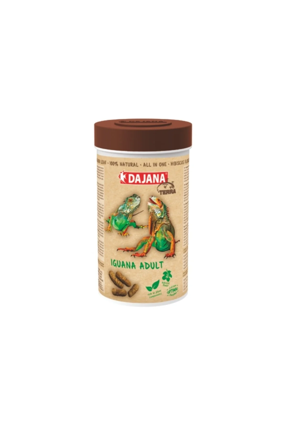 Dajana Iguana Adult All In One Yetişkin İguana Yemi 1000 Ml 240 Gr