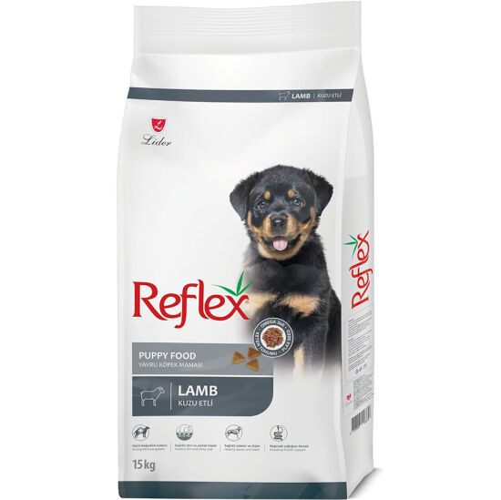 Flexi Black Design Otomatik Şerit Köpek Gezdirme Tasması Large 5 Mt Siyah
