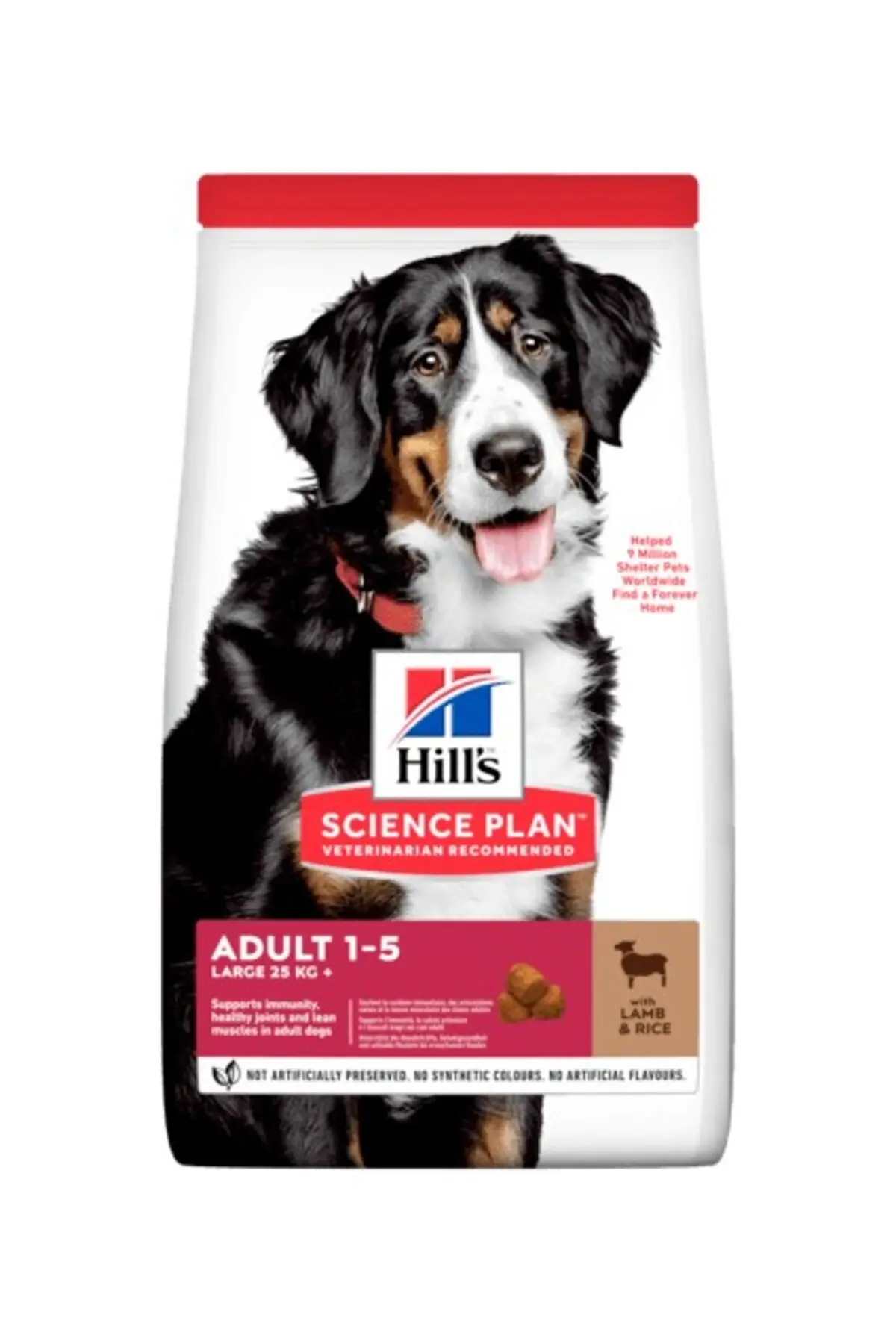 Hills Büyük Irk Kuzu Etli Yetişkin Köpek Maması