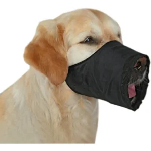 Köpek Kumaş Ağızlıklar
