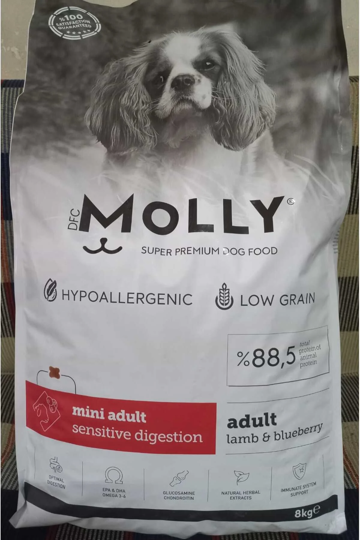 Molly Hipoalerjenik Somonlu Düşük Tahıllı Yavru Kedi Maması 2kg