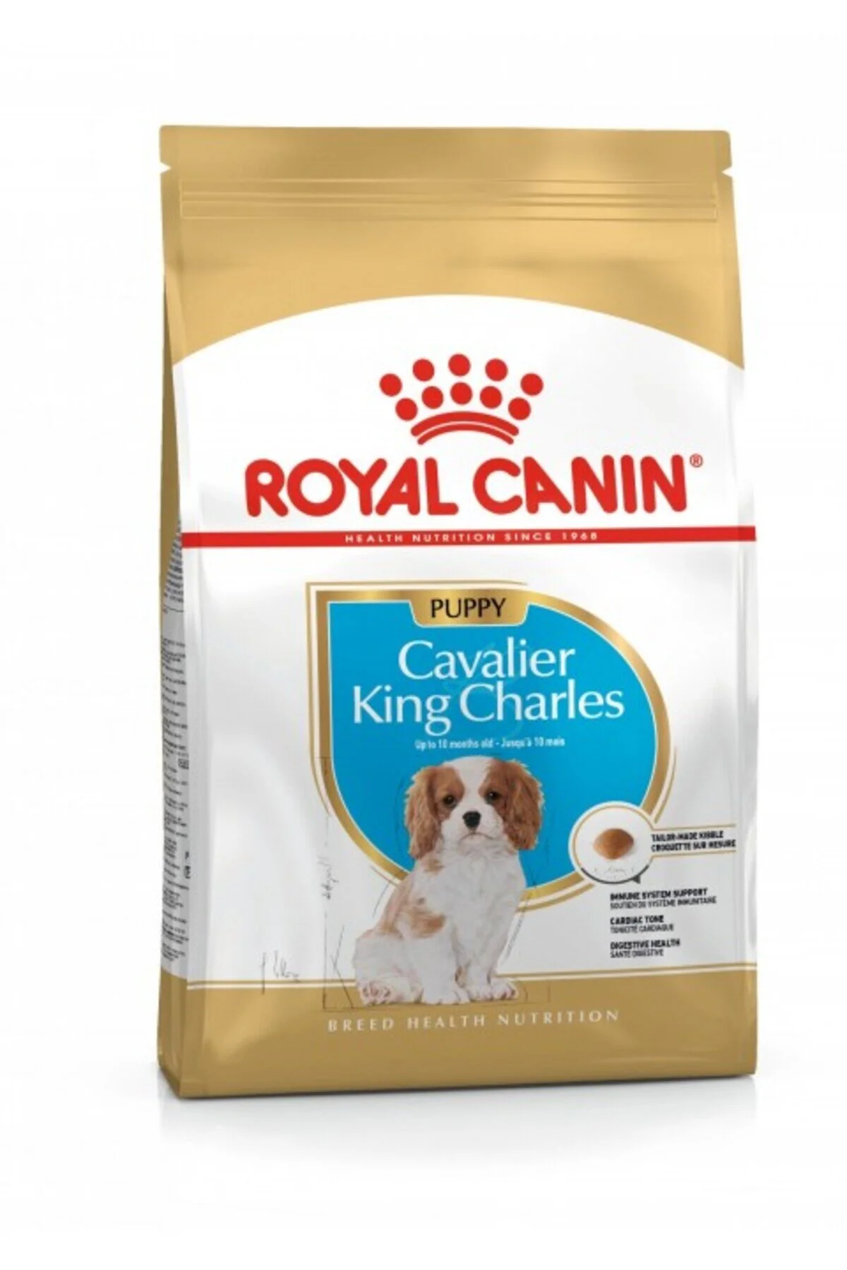 Royal Canin Cavalier King Charles Junior Yavru Köpek Maması