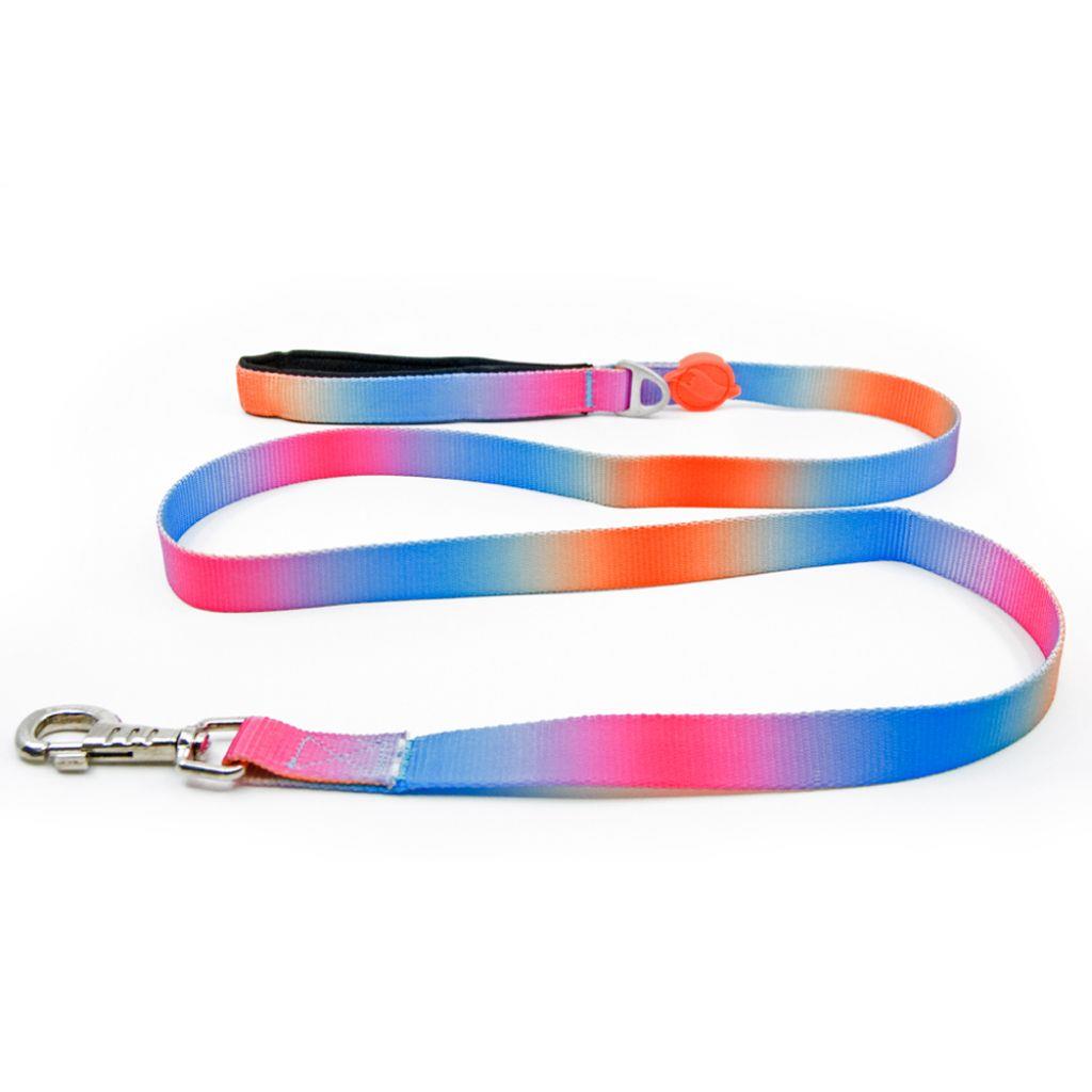 Tailpetz Pass Desenli Kedi ve Köpek Gezdirme Kayışı 130x2cm